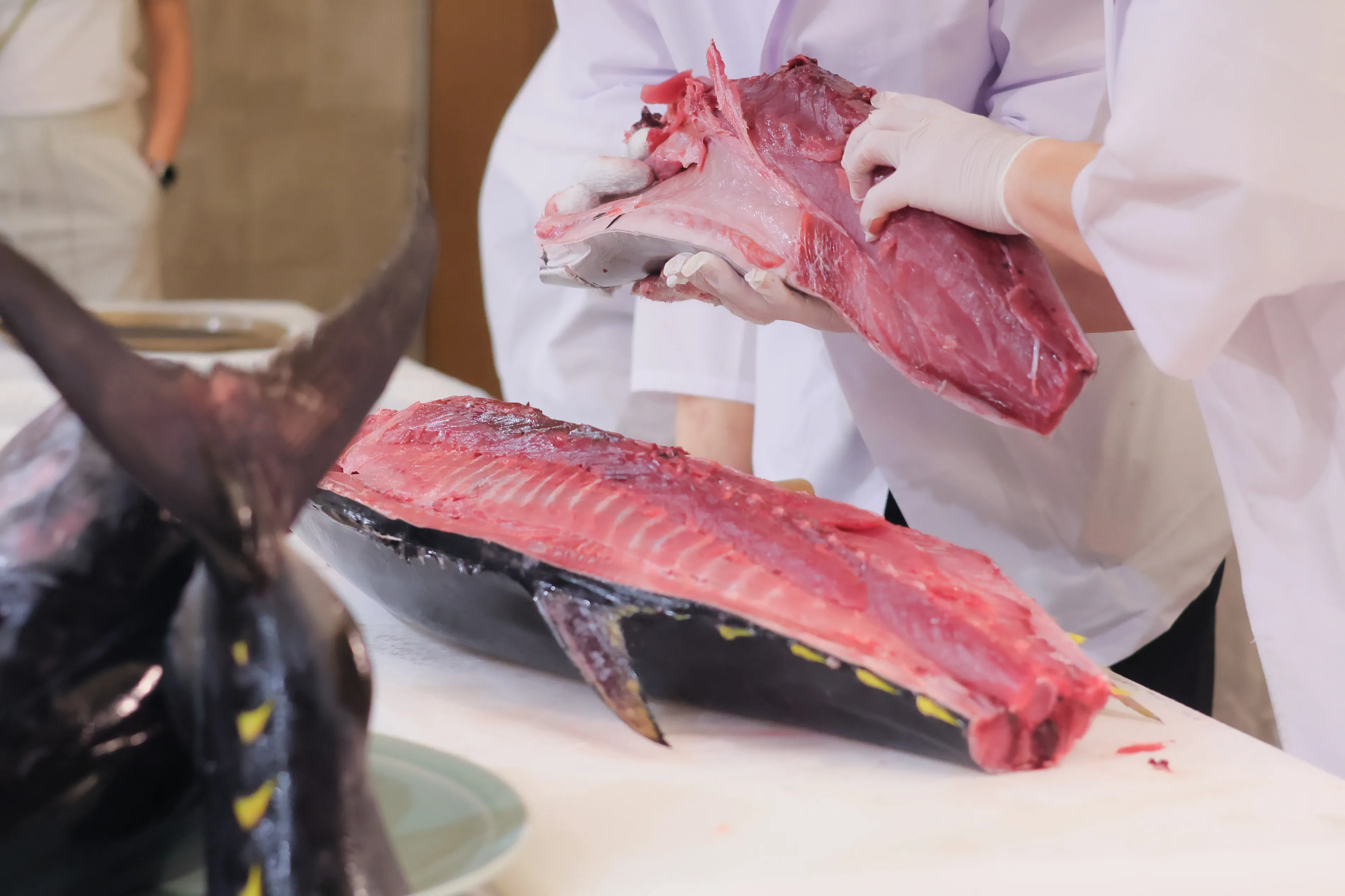 雲海・ザ クラシックでマグロの解体ショー