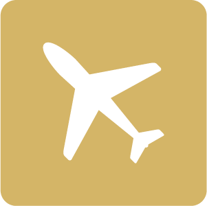 Care Service After Arrival