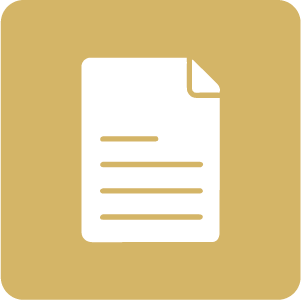  Documents Translation