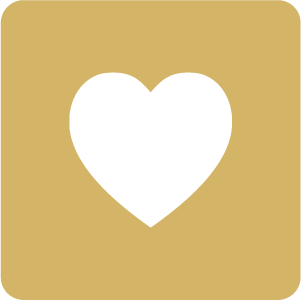  Warm and Sincere Supports